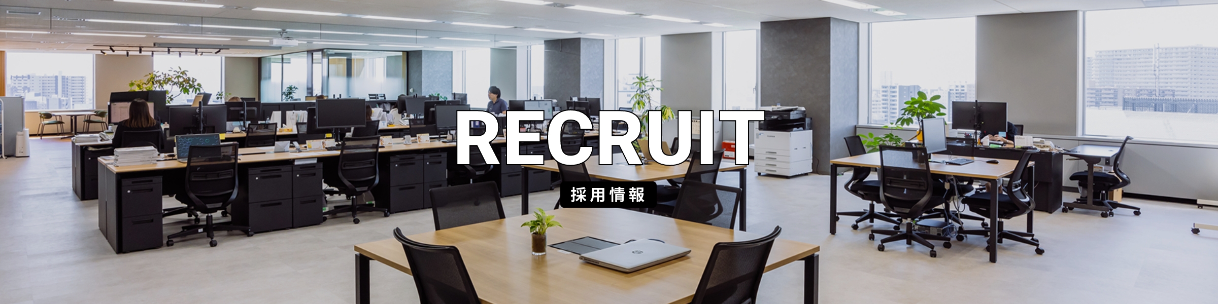 採用情報